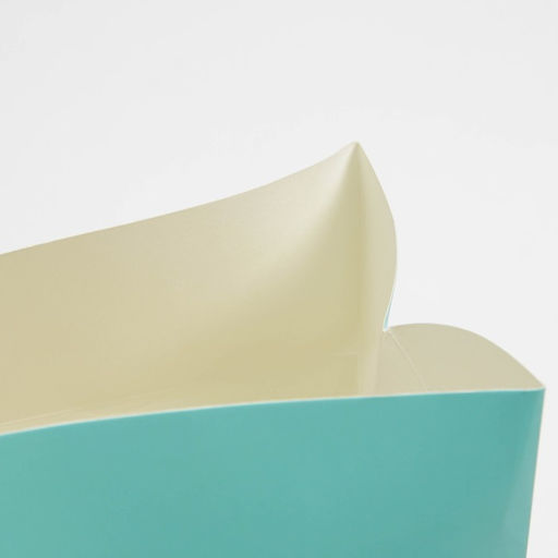 Пакет—коробка, подарочная упаковка, «Present», 23 х 18 х 11 см