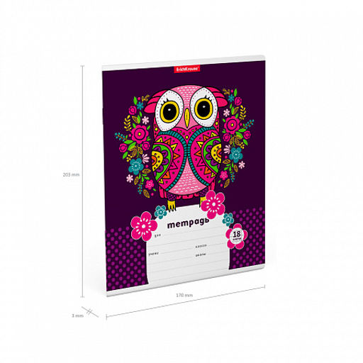 Цена за 10 шт. Тетрадь школьная ученическая ErichKrause Flower Owl, 18 листов, линейка (в плёнке по 10 шт.)  фото 4