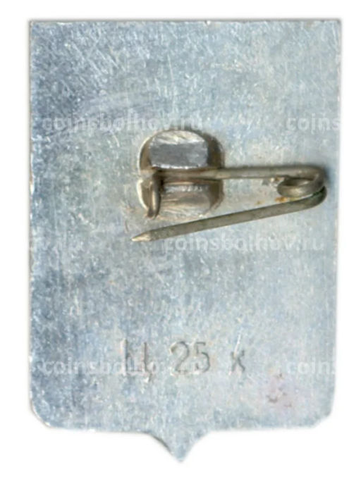 Значок Старая Русса