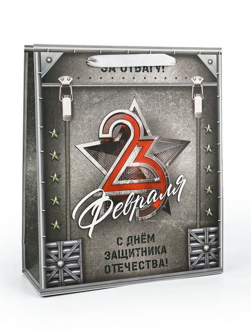 Цена за 2 шт. Пакет подарочный ламинированный 23 февраля, M 25.5?30?9 см