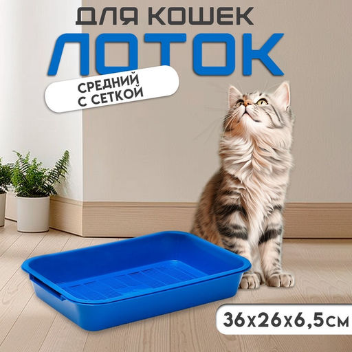 Туалет средний с сеткой 36×26×6.5 см, синий/черничный