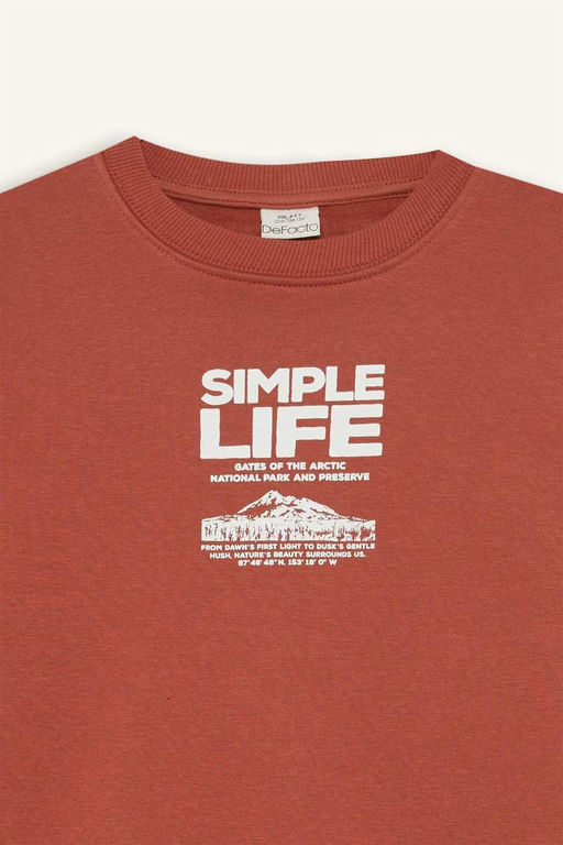 Толстовка обычного кроя с круглым вырезом и принтом на мягкой подкладке для мальчиков - Defacto фото 8