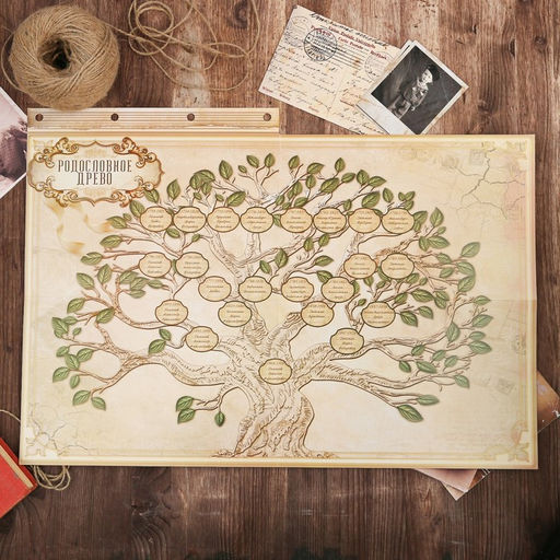 Родословная книга «Наш род», 56 листов, бордо, 35×23.5 см