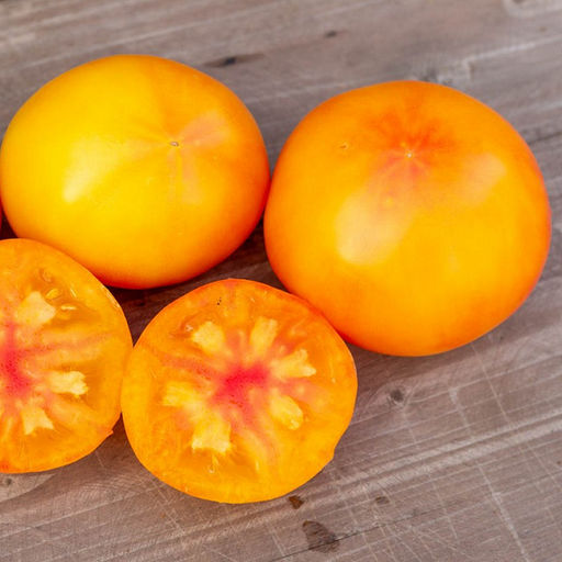 7010T Томат Вариегатный Дракон 10шт