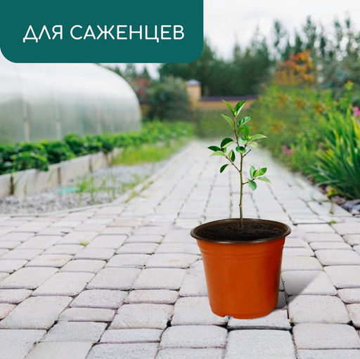 Цена за 5 шт. Горшок для рассады, 2.5 л, d=18 см, h=14.5 см, мягкий пластик, терракот, Greengo