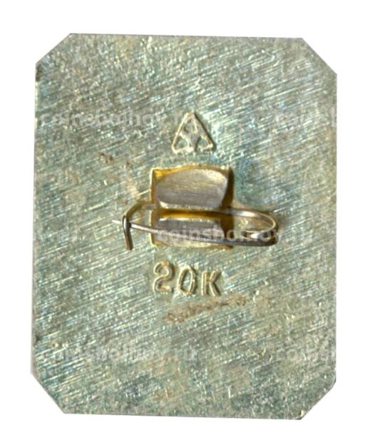 Значок Владимир