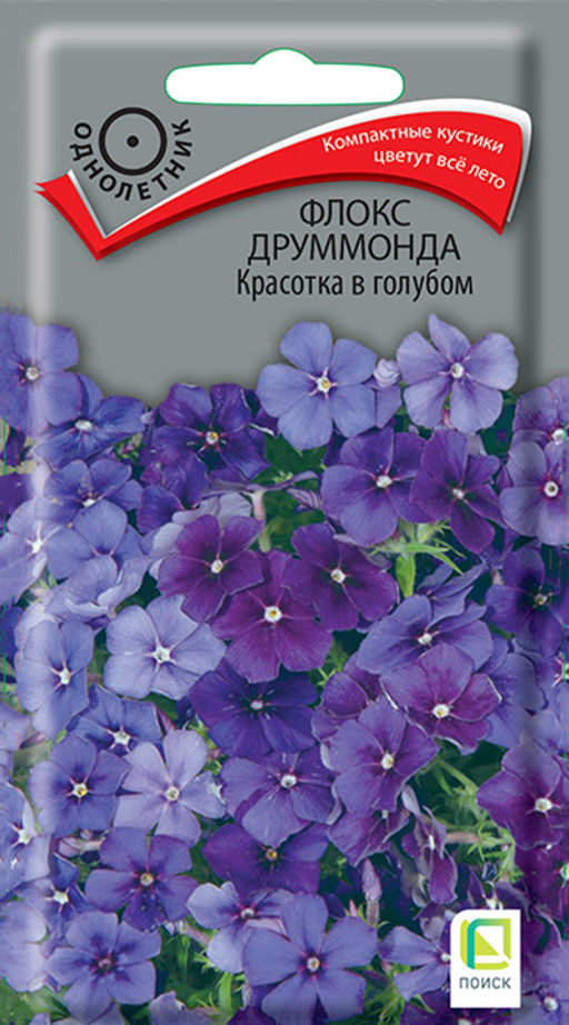 Флокс друммонда Красотка в голубом (ЦВ) (1) 0,1гр. - Поиск фото 2