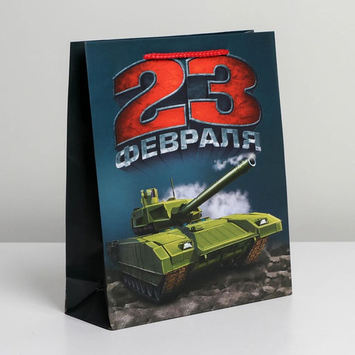 Цена за 2 шт. Пакет подарочный ламинированный, упаковка, «С 23 февраля», ML 25×21×8 см