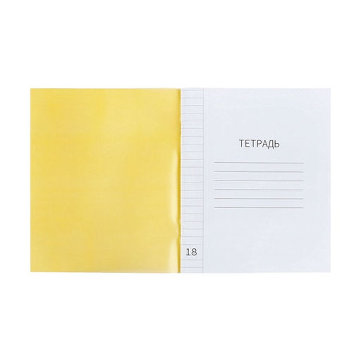 Цена за 10 шт. Тетрадь 18 листов линейку, пластиковая обложка, с алфавитом, желтая