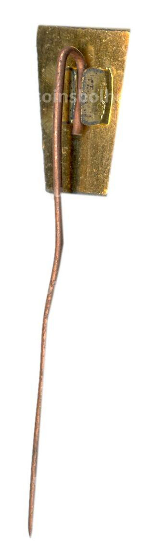 Значок Лыжник