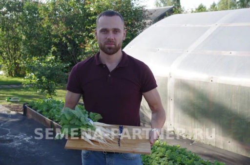 Редис Светлячок - Партнер фото 6