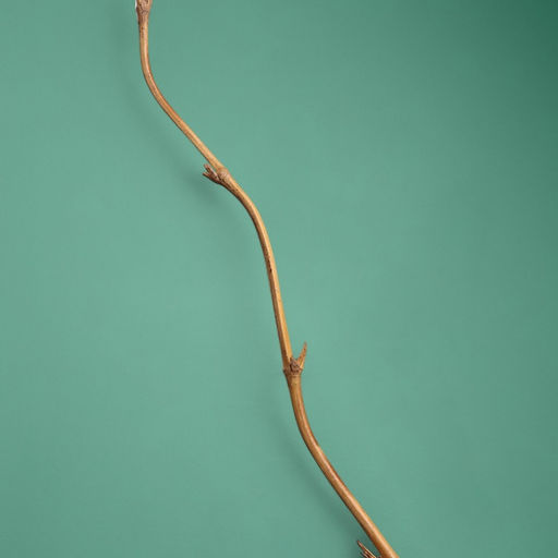 Интерьерный декор из бамбука, 200 см, светлый