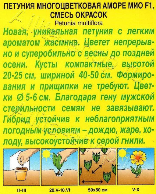 Петуния Аморе мио смесь сортов F1 5шт. (Аэлита)