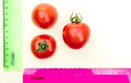 Томат Черри Кокта - Партнер фото 3