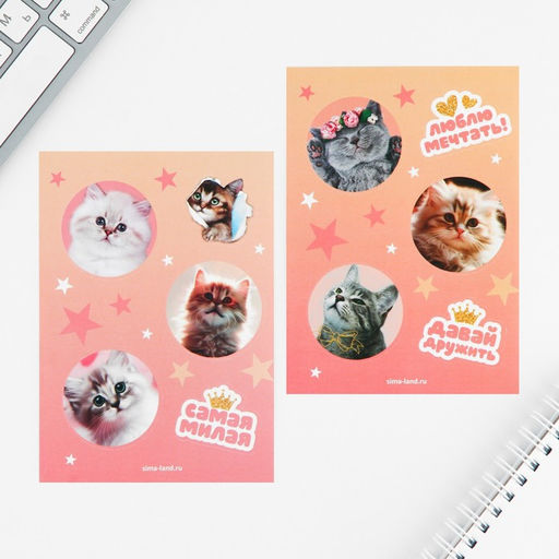 Цена за 2 шт. Набор блокнот А6, 32 листа, наклейки, магнитные закладки «Милый котенок»