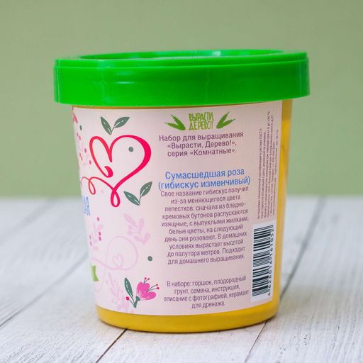 Набор подарочный для выращивания "Сумасшедшая роза"