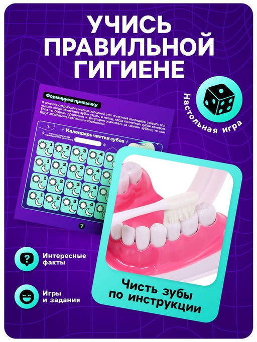 Набор для опытов Анатомия, челюсть человека - Эврики фото 3