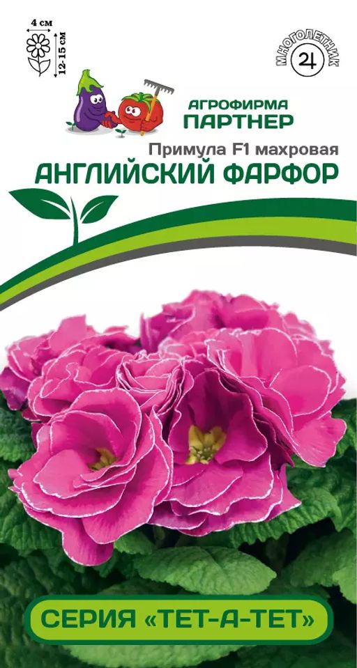 Примула махровая Тет-А-Тет Английский Фарфор