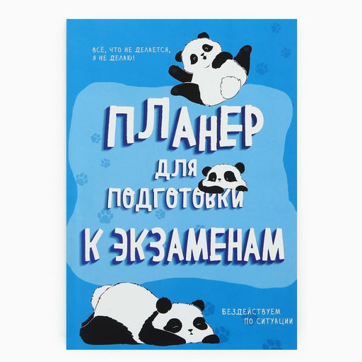 Планер для подготовки к экзаменам, А5 60 л. Мягкая обложка Панда