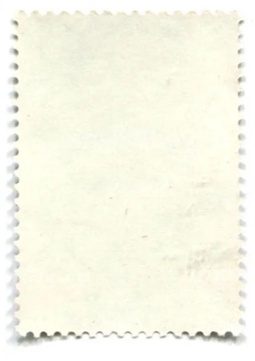 Марка XXV лет Советскому комитету ветеранов войны 1981 год