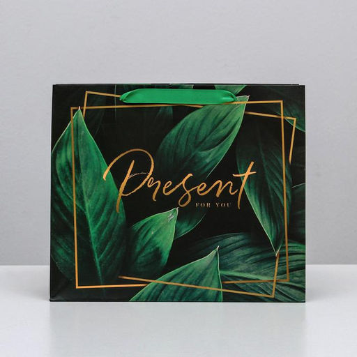 Цена за 2 шт. Пакет подарочный ламинированный, упаковка, «Present for you», ML 27×23×11.5 см