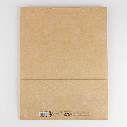 Пакет ламинированный Крафтовый, L 31 х 40 х 11.5 см - Дарите счастье фото 8