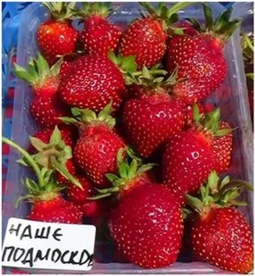 Цена за 4 шт. Земляника садовая Наше Подмосковье (Р9)