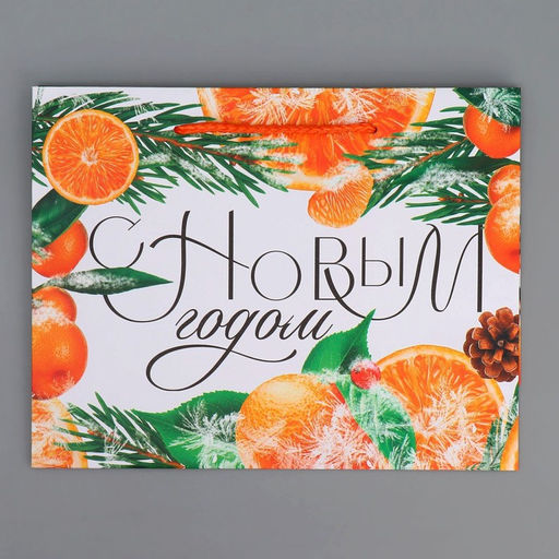 Пакет ламинированный горизонтальный Цитрусовый коктель, MS 23 18 8 см - Доступные радости фото 7