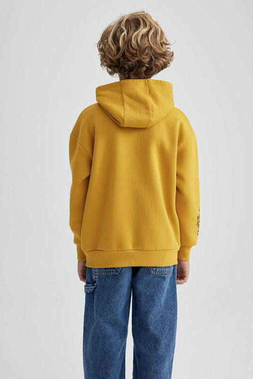 Толстый свитшот оверсайз с капюшоном для мальчика - Defacto фото 8