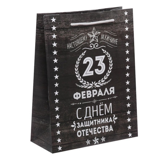 Цена за 2 шт. Пакет подарочный ламинированный, упаковка, С 23 февраля, MS 18?23?10 см