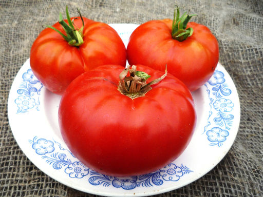 Афонские Помидоры Greek Domata