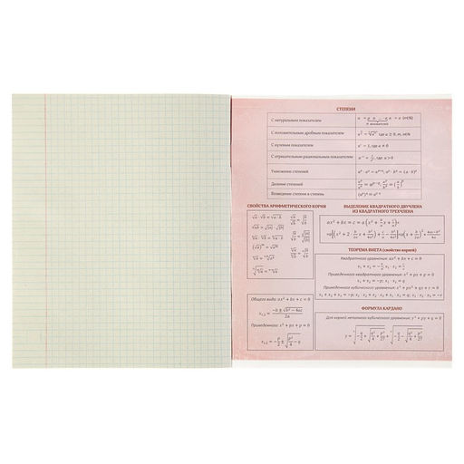 Тетрадь предметная 48 листов в клетку Алгебра Чёрное-белое, со справочным материалом, обложка мелованная бумага, блок №2, белизна 75% (серые листы) - Calligrata фото 3
