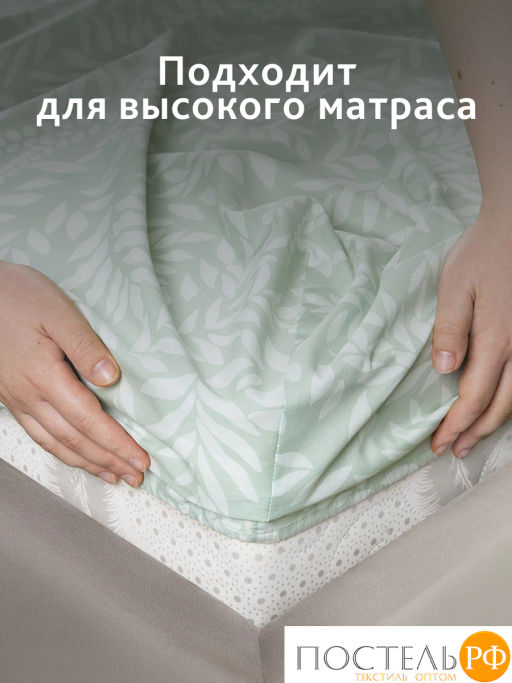 Простыня на резинке CASSIA ЭМИНЕ хлопок-сатин фото 7