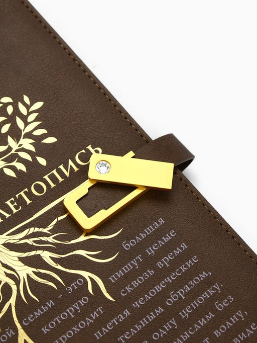 Родословная книга со встроенной флешкой 16 Gb «Семейная летопись», 17.5×23 см