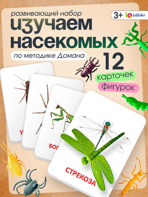 Развивающий набор с карточками Мир насекомых, по методике Домана - Iq-zabiaka фото 5