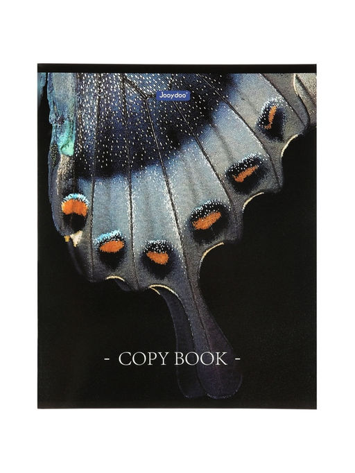 Комплект 12 тетрадей, 48 листов, клетка, 60гр, 4 вида, Природные расцветки