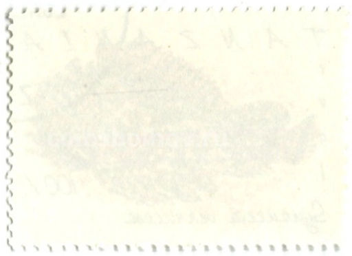 Марка Бородавчатка 1991 год Танзания