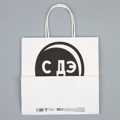 Пакет подарочный С Дэ Рэ, 22 22 11 см - Дарите счастье фото 11