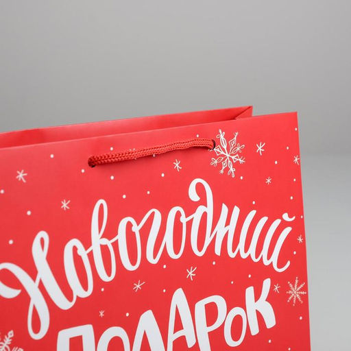 Цена за 2 шт. Пакет подарочный ламинированный «Новогодний подарок», MS 23×18×8 см