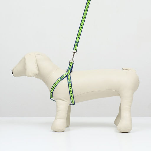 Комплект Косточки и лапки светоотражающий, поводок 120 х 1,5 см, ОГ 36-52 см, синий - Пижон фото 9