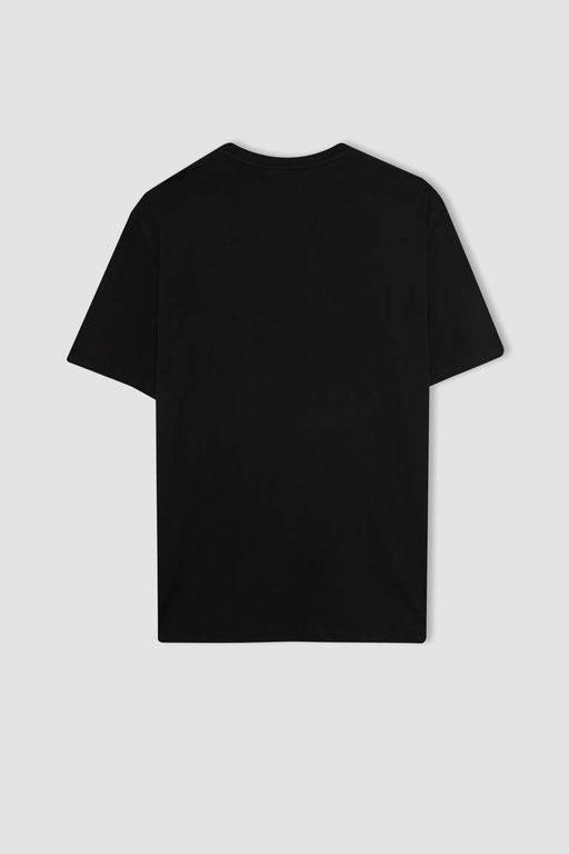 Футболка стандартного кроя с круглым вырезом и короткими рукавами с принтом - Defacto фото 9