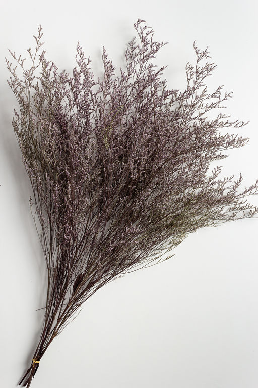 Сухоцветы декоративные (SF-2836) светло-сиреневый - Больше подарков фото 2