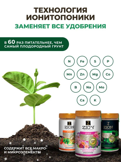 4 шт. ЦИОН для клубники (пролонгированное питание для растений), саше 30г