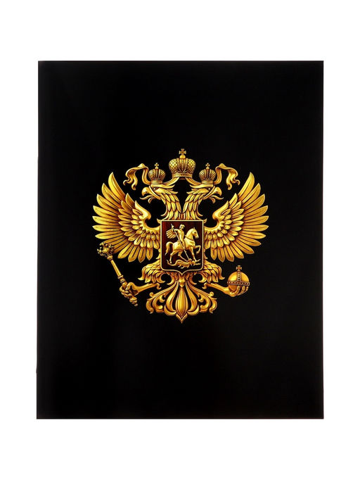 Тетрадь 10 штук, 24 листа в клетку Calligrata «Россия», блок офсет, 5 видов