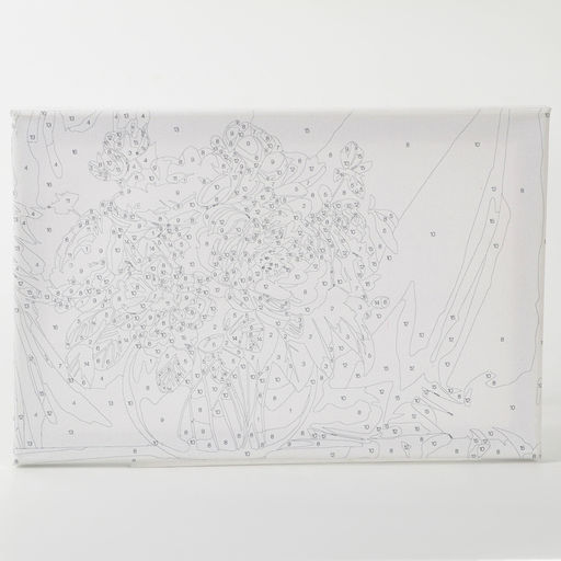 Картина по номерам с подрамником и гирляндой Пионы , 20*30 см - Школа талантов фото 5