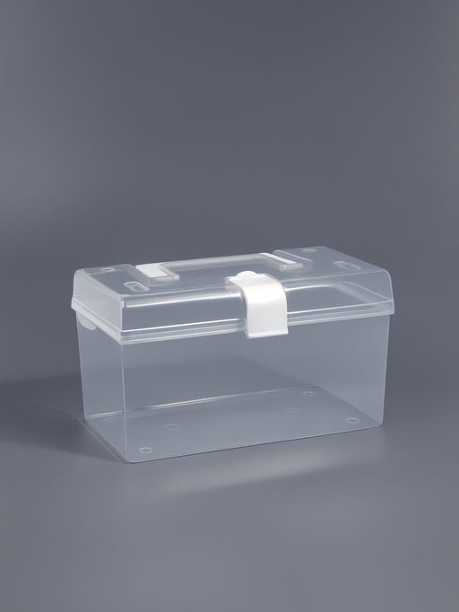 Бокс для хранения мелочей, с ручкой, 19.5×12×11 см, прозрачный/белый
