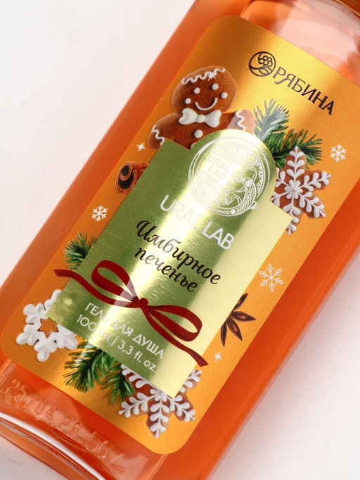 Подарочный набор новогодний Ароматы праздника, гель для душа, печенье, 100 мл и носки, URAL LAB