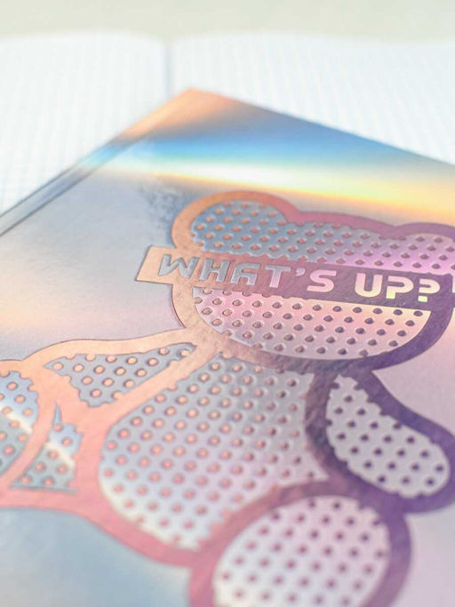 Дневник школьный арт. 69765 СЕРЕБРЯНЫЙ МИШКА