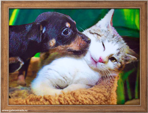 Картина 5D 30х40 059 Щенок и котёнок / ZR8210H-222411 / - Галеонтрейд фото 2