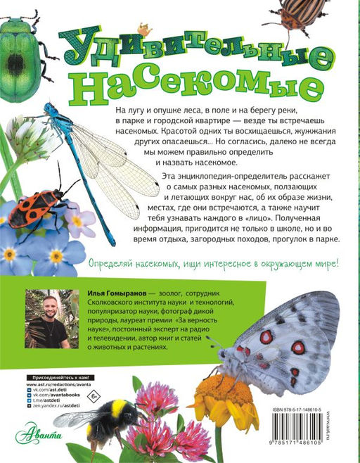 Удивительные насекомые - Аст фото 3
